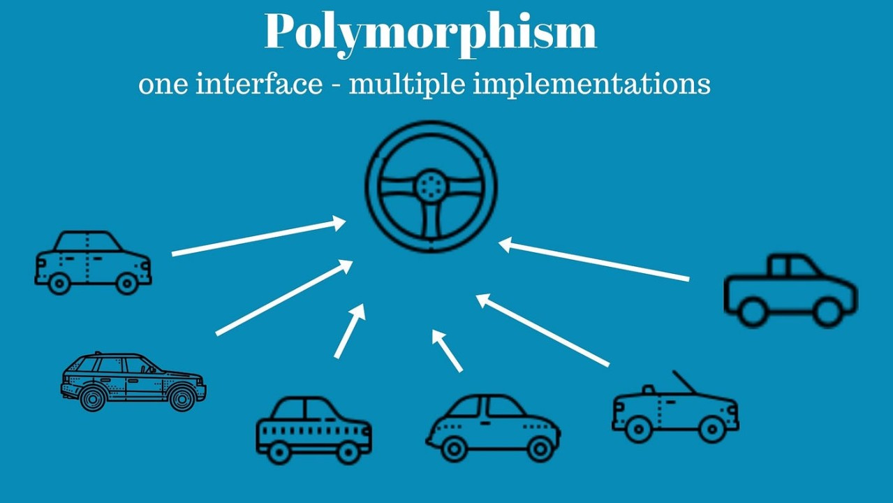 Polymorphism